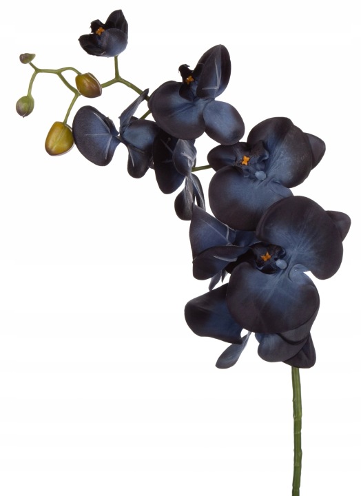 Storczyk Niebieski Czarny Blue Black Gałązka 98 Cm Kwiaty Sztuczne