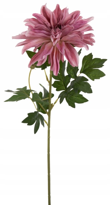 Dalia Różowa 63 Cm Gałązka