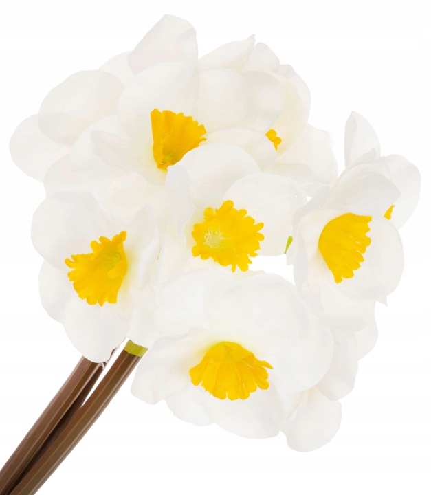 3X ŻONKIL BIAŁY 40 CM WIOSNA WIELKANOC
