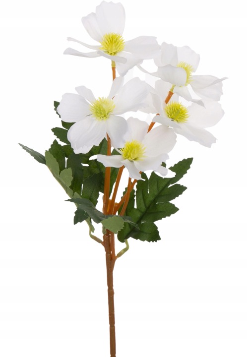 Kosmos Biały Gałązka 39 Cm