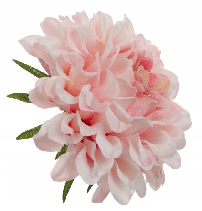 Dalia Główka Wyrobowa Cream Lt Pink 12 Szt.