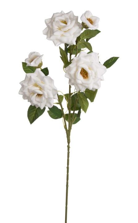 Dzika Róża Gałązka Biała White 82 Cm