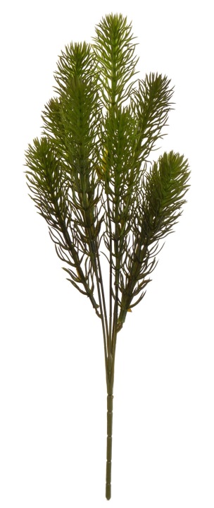 Gałązka Iglasta 40 Cm