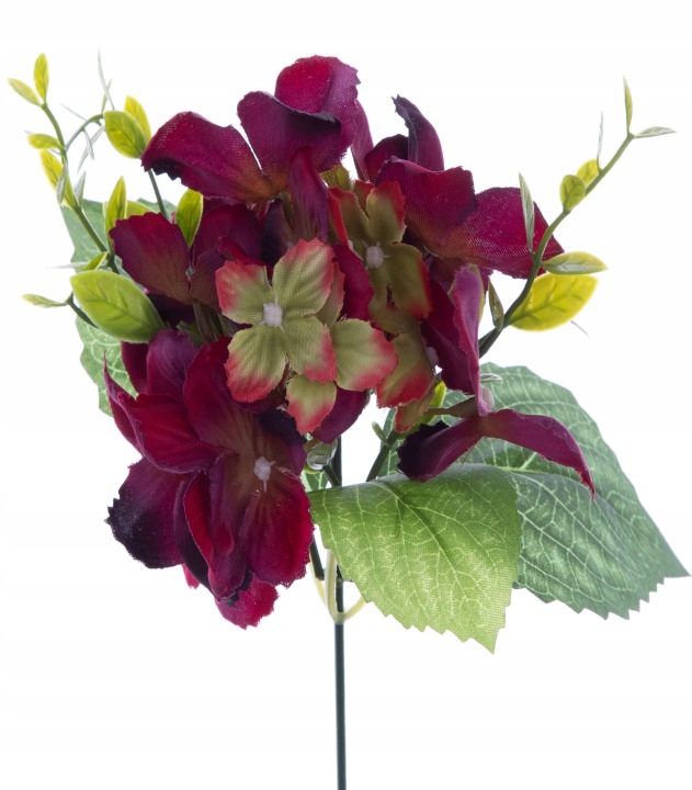 12X Hortensja Burgundy Gałązka Pik