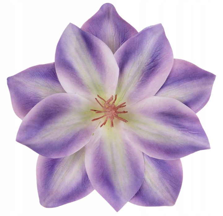 12X Klematis Gumowy Fioletowy Purple Główka Wyrobowa Kwiaty Sztuczne