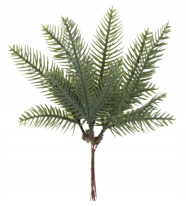 Jodła Iglak Gałązka 22 Cm Dodatek Do Kompozycji