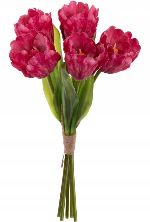 5X TULIPAN BEAUTY RÓŻOWY BUKIET TULIPANÓW 35 CM