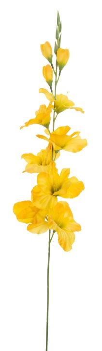 Mieczyk Żółty Gałązka Kwiaty Sztuczne 79 Cm