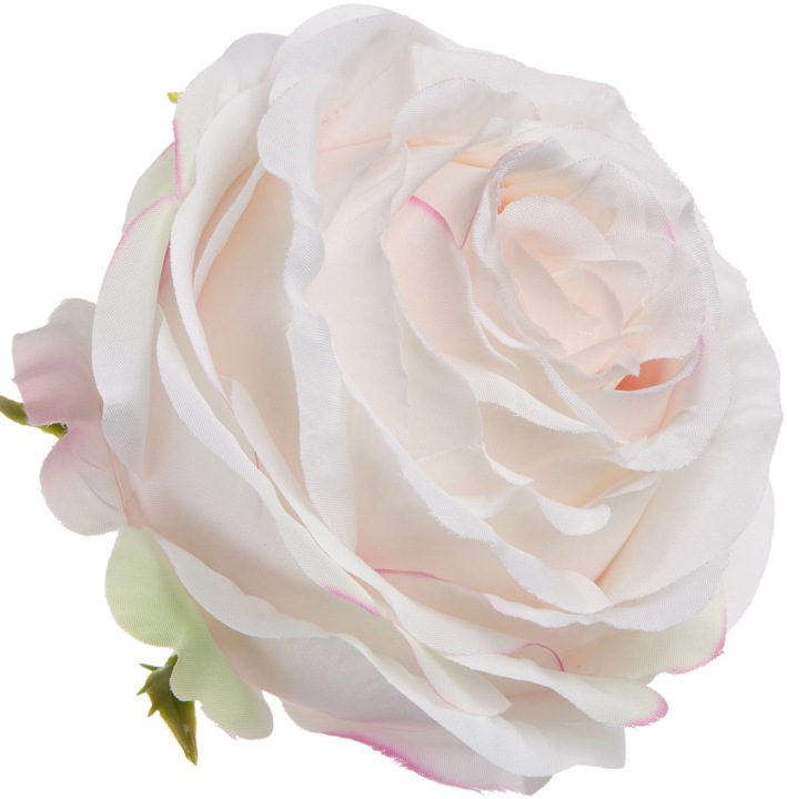 Róża Wyrobowa Cream Powder Pink 12 Szt Główka Kwiatowa Premium