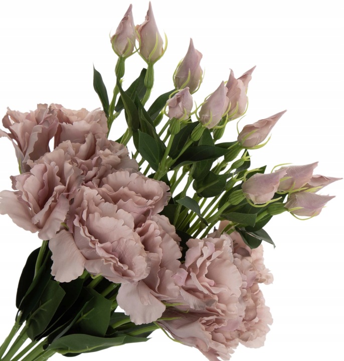 12X EUSTOMA DELICATE BROWN GAŁĄZKA 48 CM