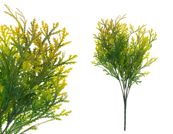 Tuja Iglak Zielona - Żółta Gałazka Do Kompozycji 38 Cm