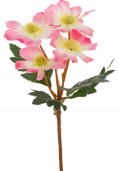 Kosmos Różowy Gałązka 39 Cm