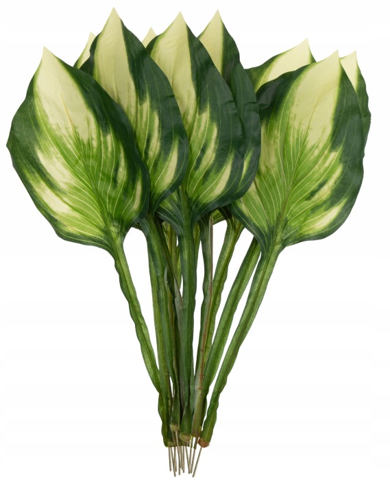 Liść Funkia Gałązka Do Kompozycji 50 Cm