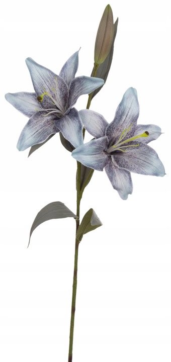 Lilia Niebieska Gałązka 60 Cm