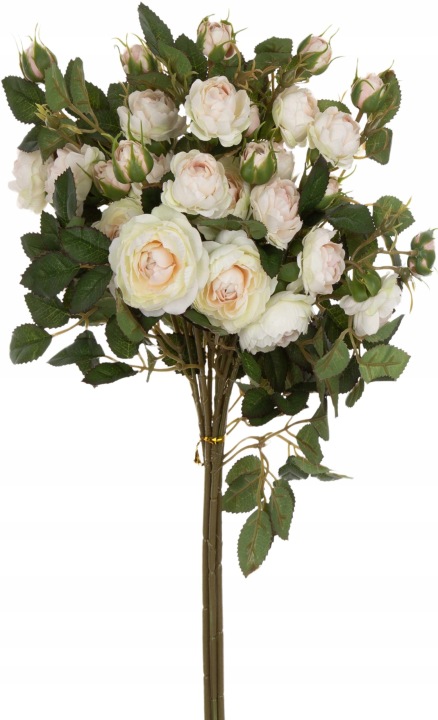 Dzika Róża Cream Lt. Peach Bukiet 6 Gałązek 50 Cm