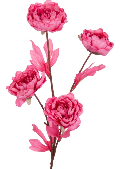 Peonia Piwonia Podsuszana Różowa Gałązka 76 Cm Kwiaty Sztuczne