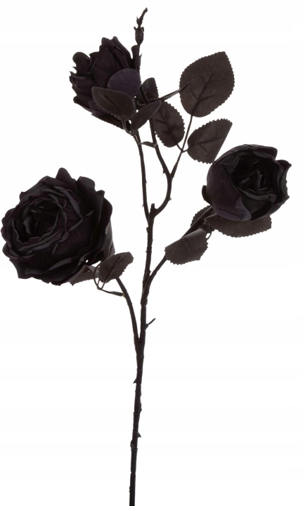 Róża Czarna Gałązka 62 Cm Black
