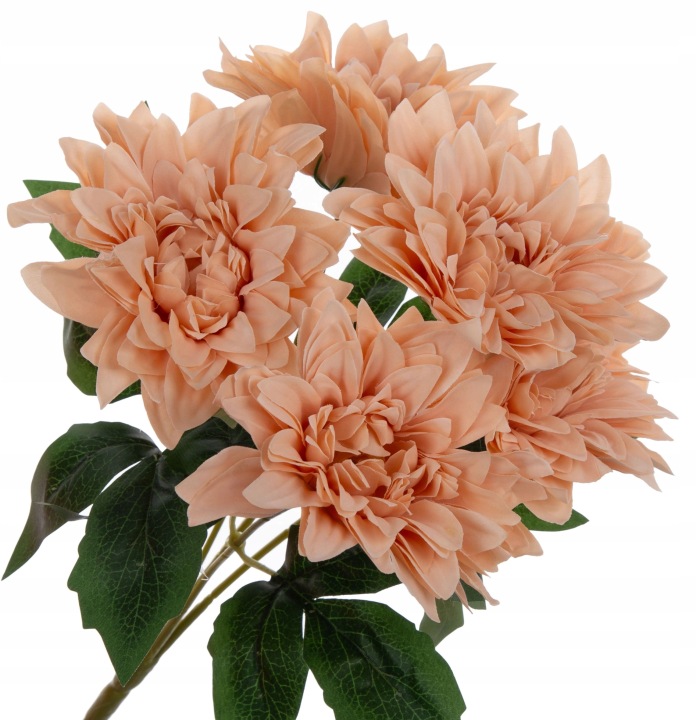 Dalia Brzoskwiniowa Bukiet 5 Kwiatów 40 Cm