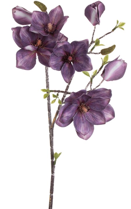 Magnolia Fioletowa Gałązka 86 Cm