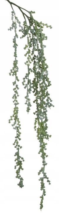 Sukulent Gumowy Zwis Starzec Rowleya Kwiaty Sztuczne 66 Cm