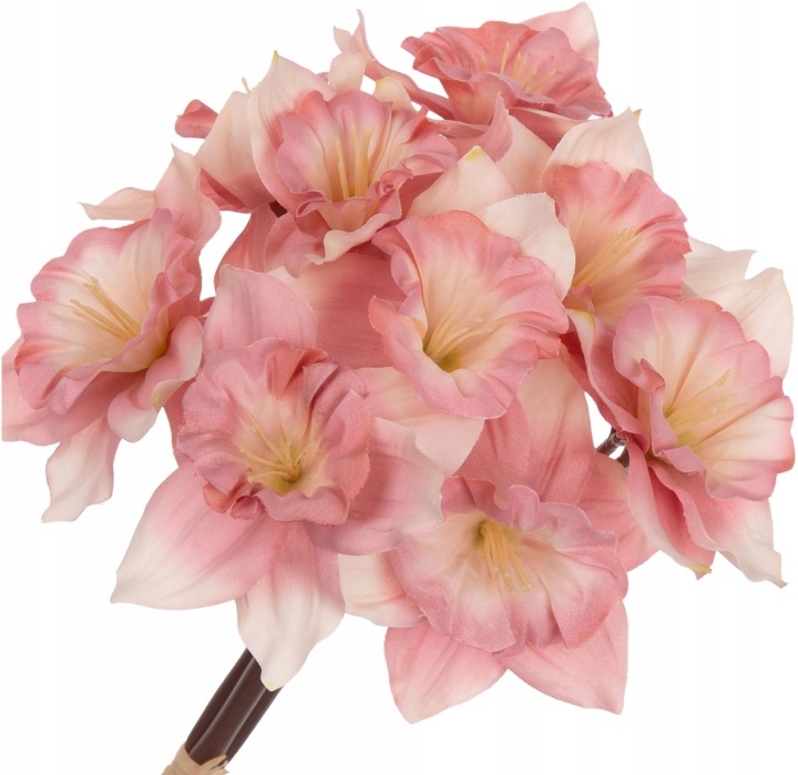 3X Żonkil Jesienny Różowy 39 Cm