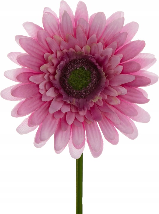 Gerbera Różowa Gałązka 46 Cm Łodygowa