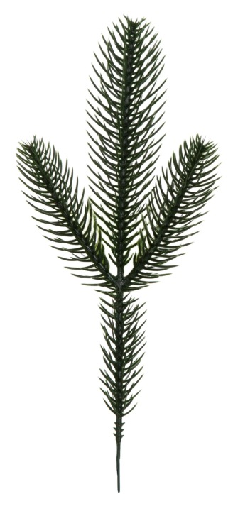 Świerk Iglak Gałązka Iglasta 29 Cm