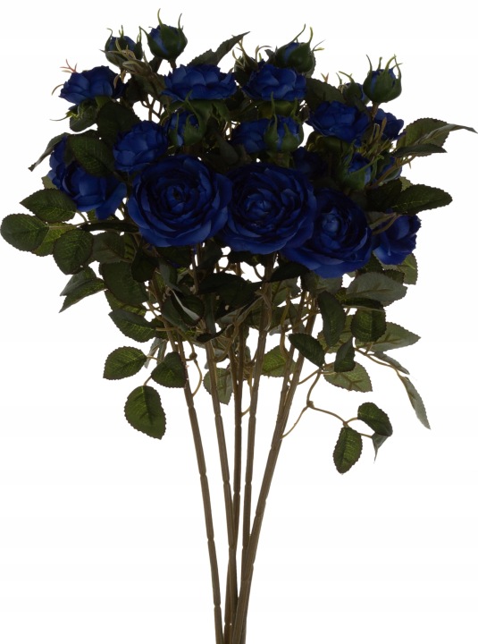 Dzika Róża Niebieska Bukiet 6 Gałązek 50 Cm Dr Blue
