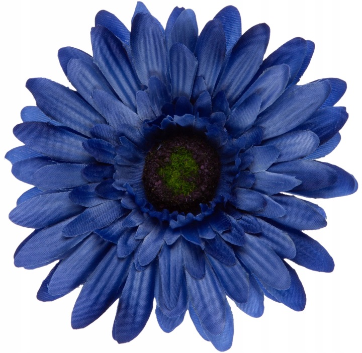 24 Szt. Gerbera Blue Niebieska Główka Wyrobowa