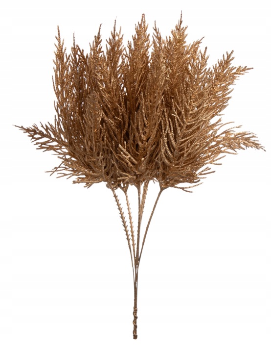 Tuja Złota Wiązka 29 Cm
