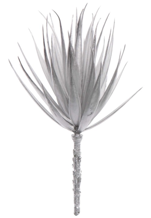 Agawa Sukulent Srebrny 22 Cm