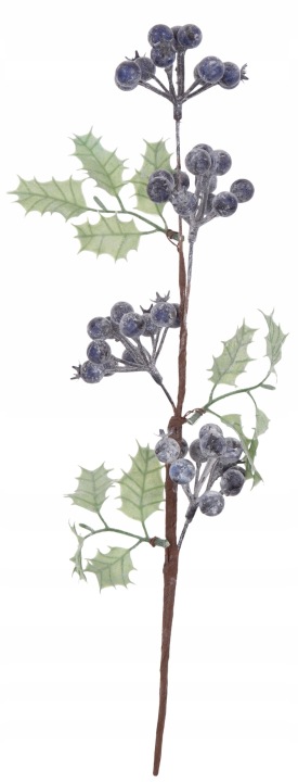 Mahonia Gałązka Bielona Dodatek
