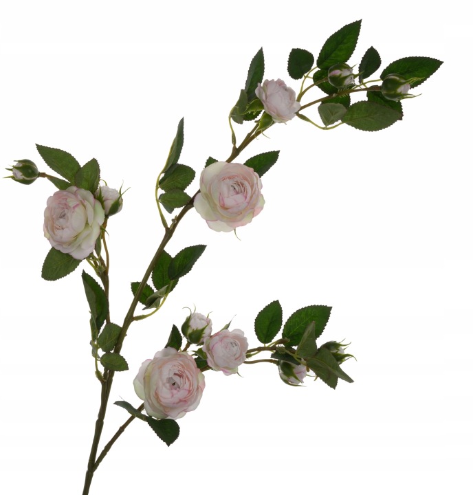 Dzika Róża Gałązka Krem Róż 80 Cm Cream Powder Pink