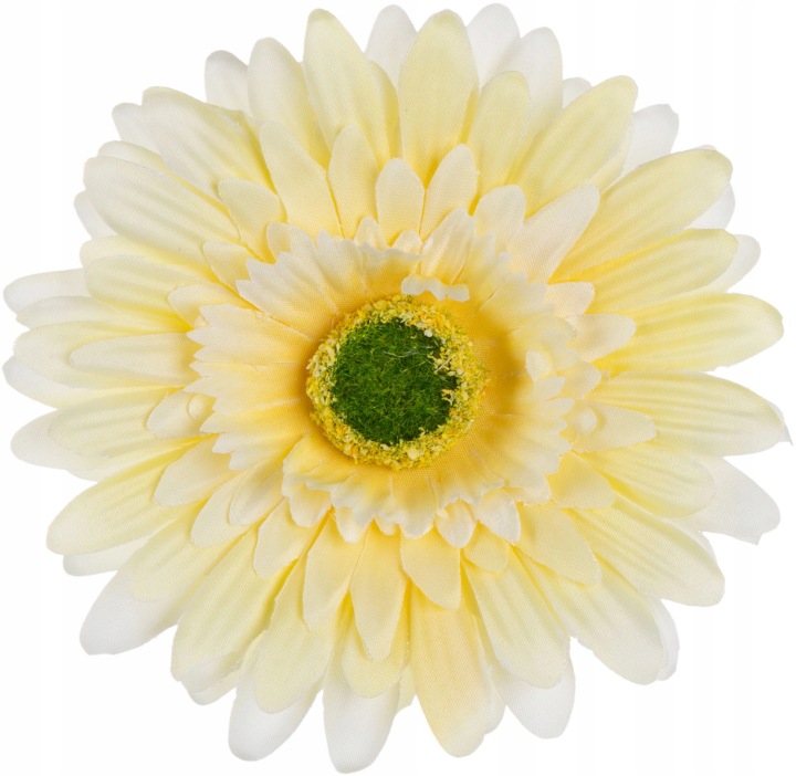24 Szt. Gerbera Lt Yellow Żółta Główka Wyrobowa