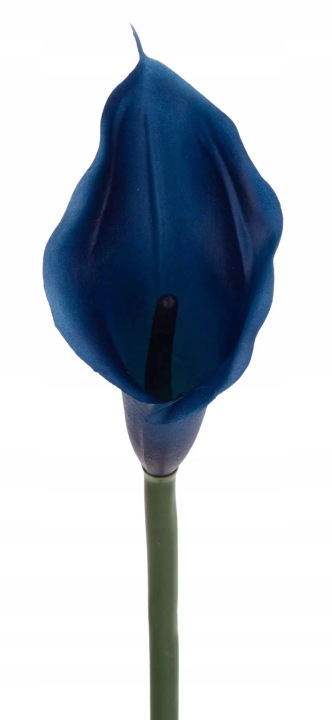 Kalia Gumowa Deep Blue Granatowa 71 Cm