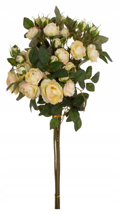 Dzika Róża Vanilla Bukiet 6 Gałązek 50 Cm
