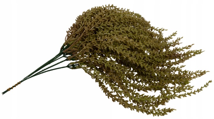 Sukulent Zwis Oliwkowy Dodatek 43 Cm 6 Gałązek
