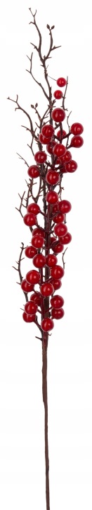 Jarzębina Głóg Czerwone Kulki Dodatek 70 Cm