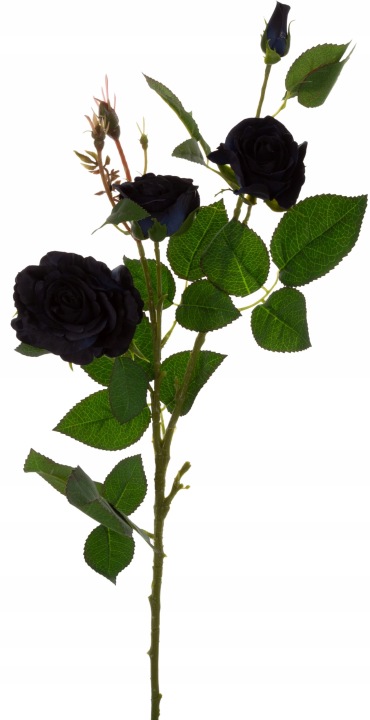 Róża Granatowa Czarna Gałązka 76 Cm Blue Black