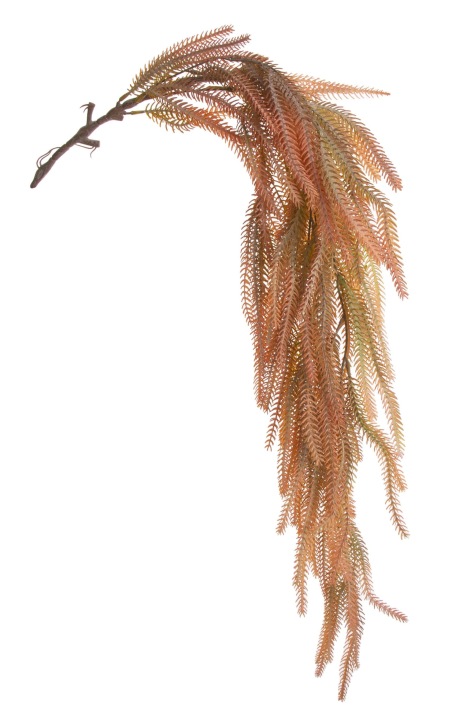 Wrzos Wrzosiec Zwis Łososiowy - Zielony 95 Cm