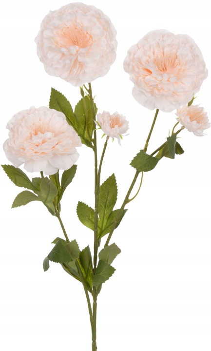 Cynia Jasny Krem Gałazka 80 Cm