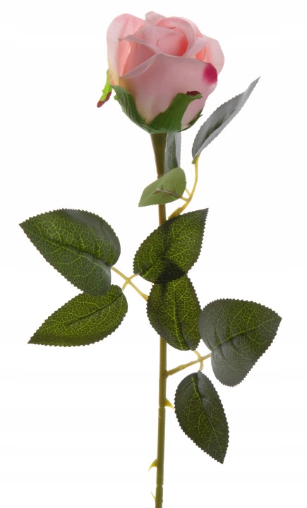 Róża Gałązka 62 Cm J. Róż