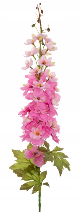Ostróżka Lt. Beauty Ciemny Róż Gałązka 96 Cm