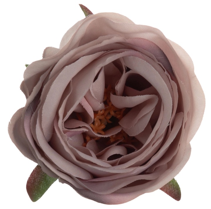 Róża Wyrobowa Delicate Brown Główka Kwiatowa 24 Szt.