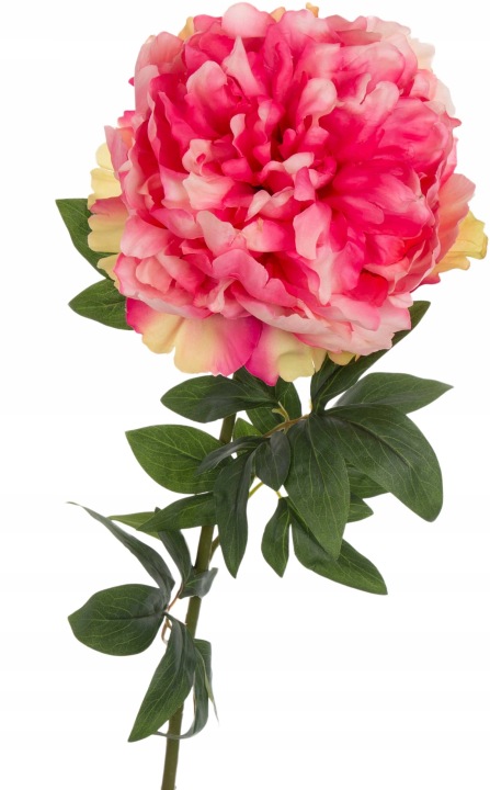 Peonia Piwonia Różowa Gumowana Gałązka 67 Cm Kwiaty Sztuczne Premium