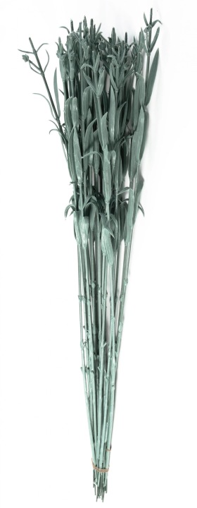 Łodyga Do Kwiatów Goździk 24 Szt. 54 Cm