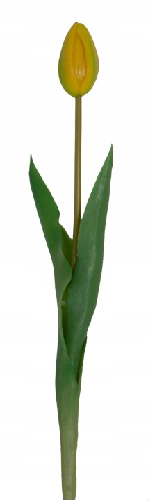 Tulipan Żółty Gumowy Sylikon