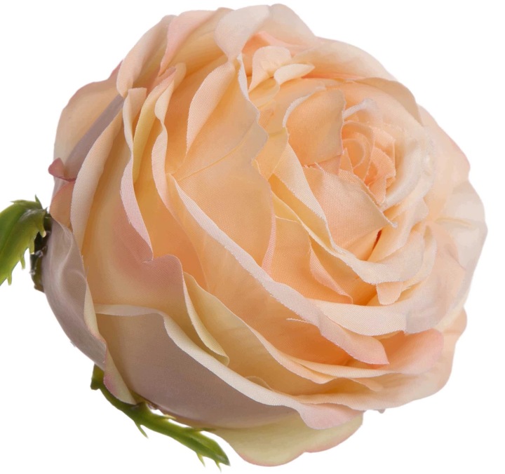 Róża Wyrobowa Real Peach 12 Szt Główka Kwiatowa Premium
