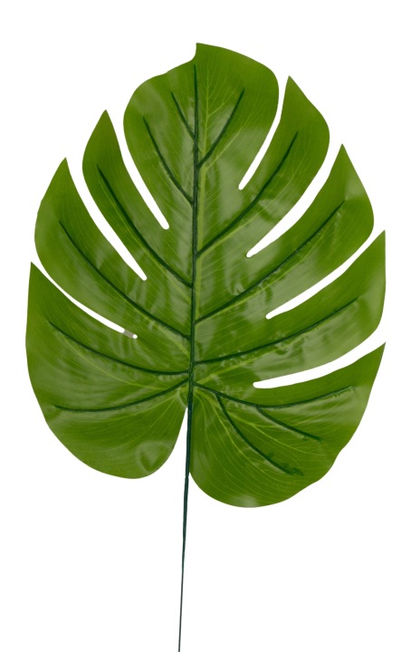 12X Liść Liście Monstera J. Zielony Gałązka Do Kompozycji 55 Cm