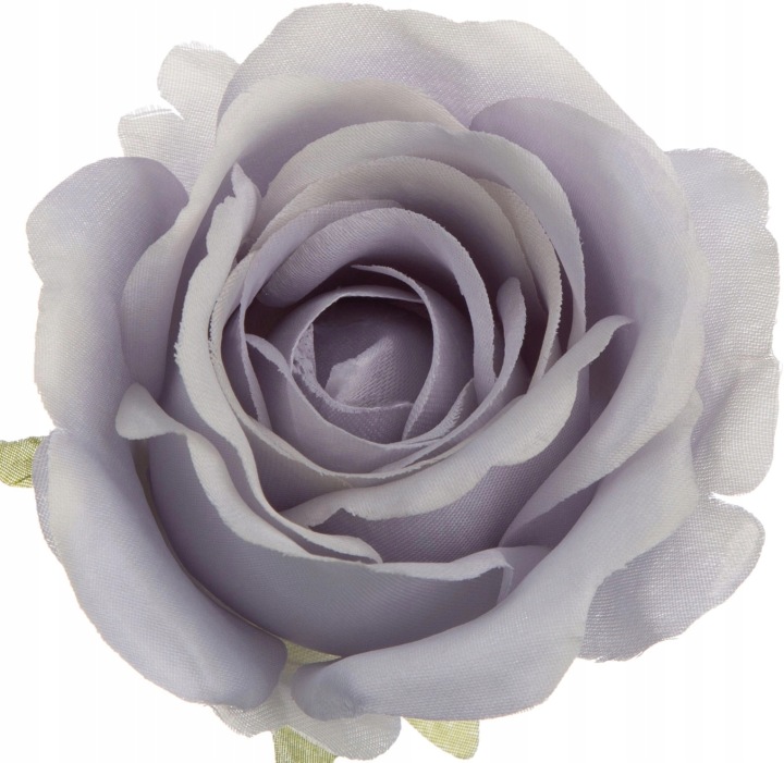 Róża Główka Wyrobowa Powder Lt Violet 12 Szt.